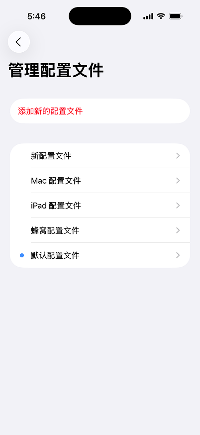 Roadblock 应用程序显示配置文件部分