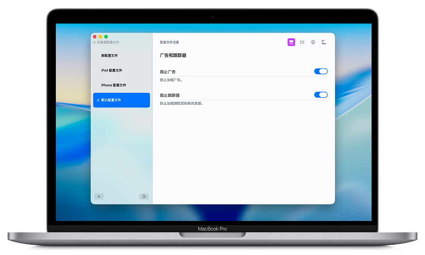 Roadblock 应用程序显示其主界面